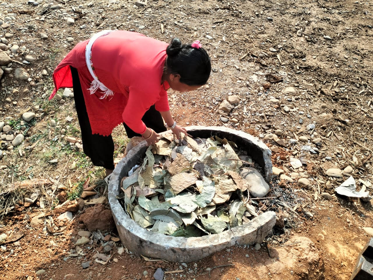 woman drying leaves