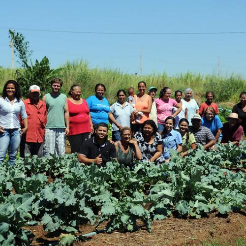 Brazilian farmers