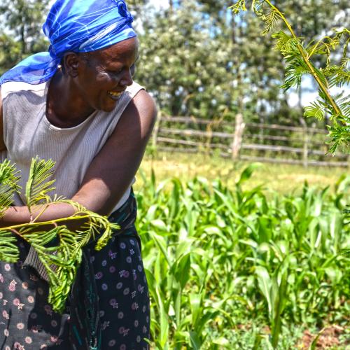 Woman farmer in Kenya