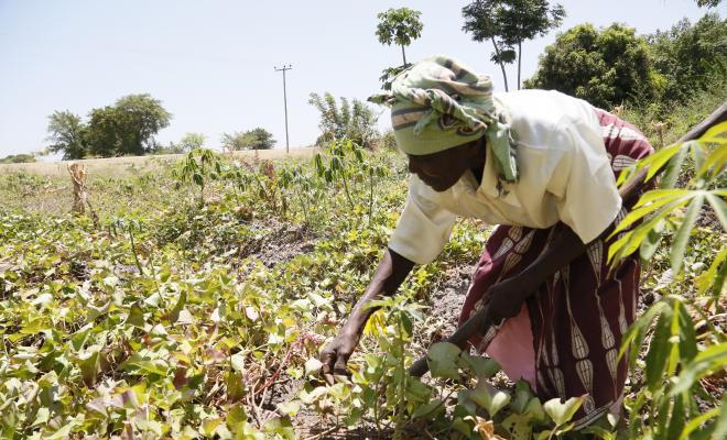 Climate smart agriculture