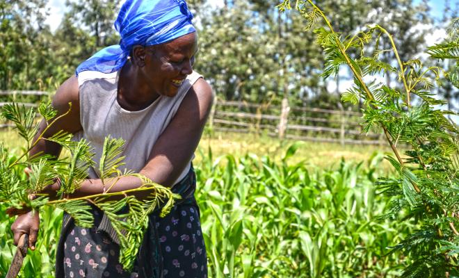 Woman farmer in Kenya