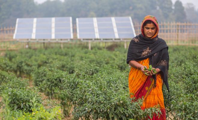 Farmer in Nepal uses solar pumps for irrigation