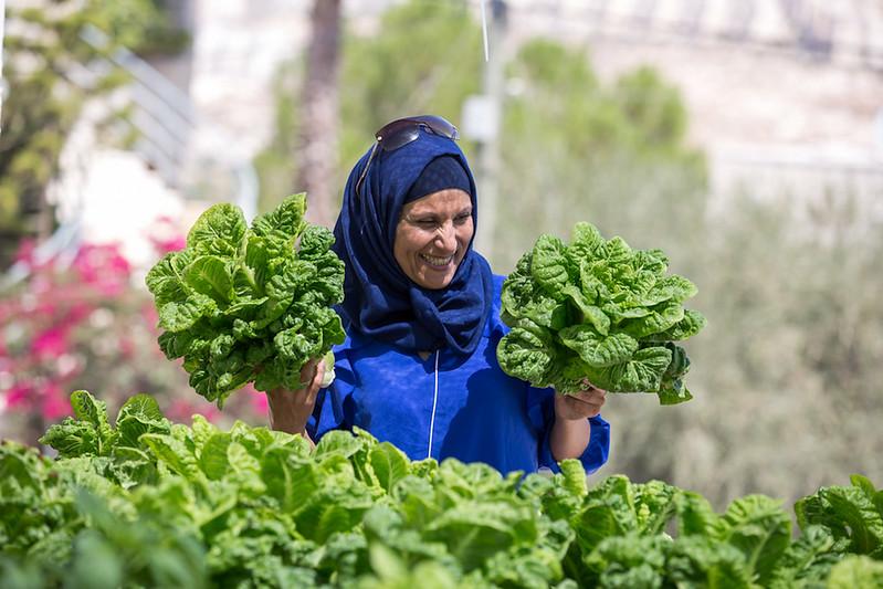 Developing agricultural cooperatives in Palestine. Credit Elias Halabi, Ministry of Foreign Affairs of the Republic of Poland