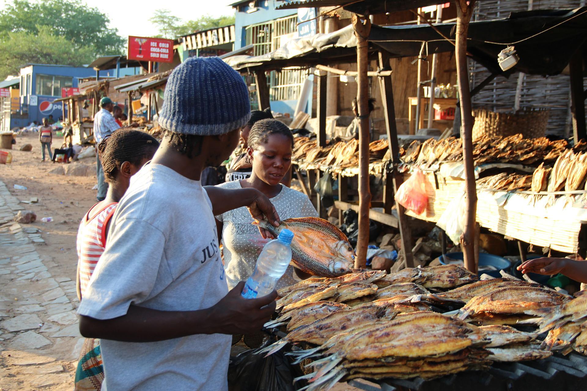 Fish market in Kenya