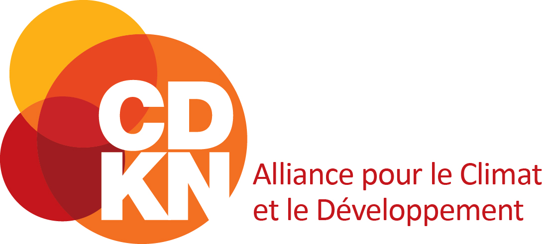 CDKN Logo